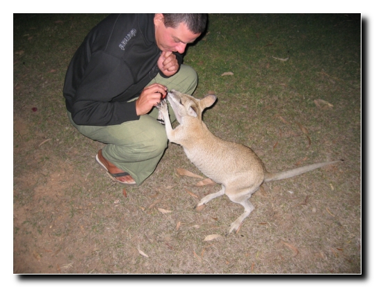 34 Der Taschenlampendieb